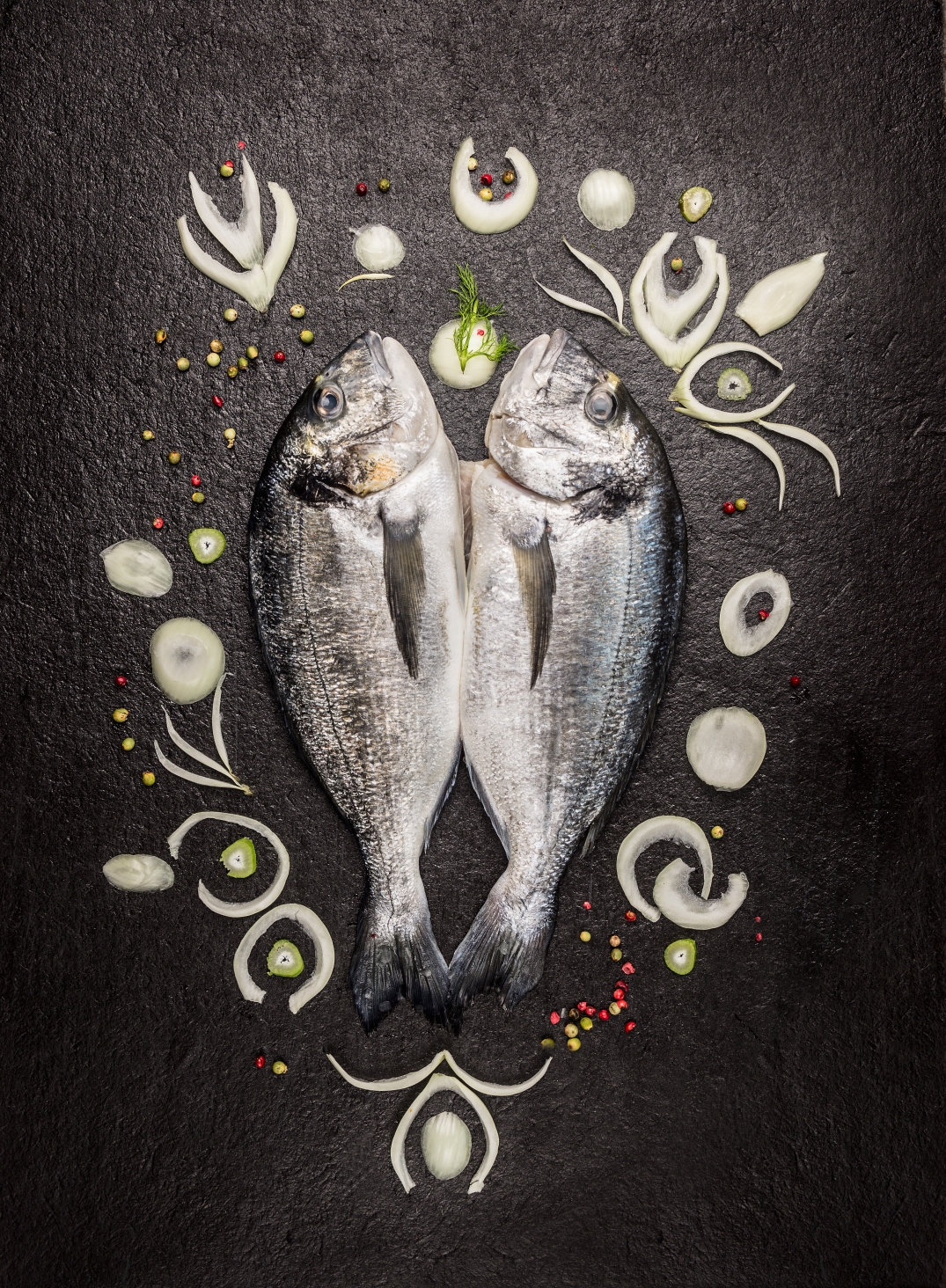 Two raw whole dorado fish with spices pattern on dark background, top view